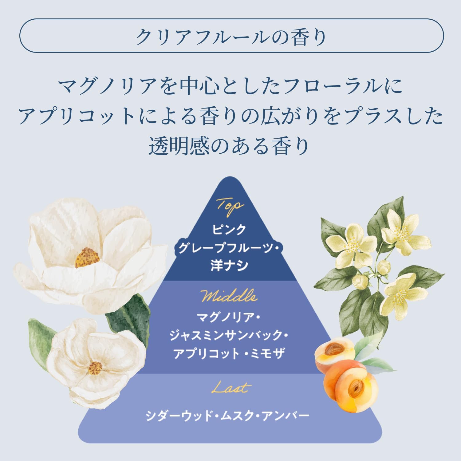 T/MEU Keep Moist Hair Oil, Glossy, Non-Rinse Treatment, Clear Fleur Scent, 2.8 fl oz (80 ml)