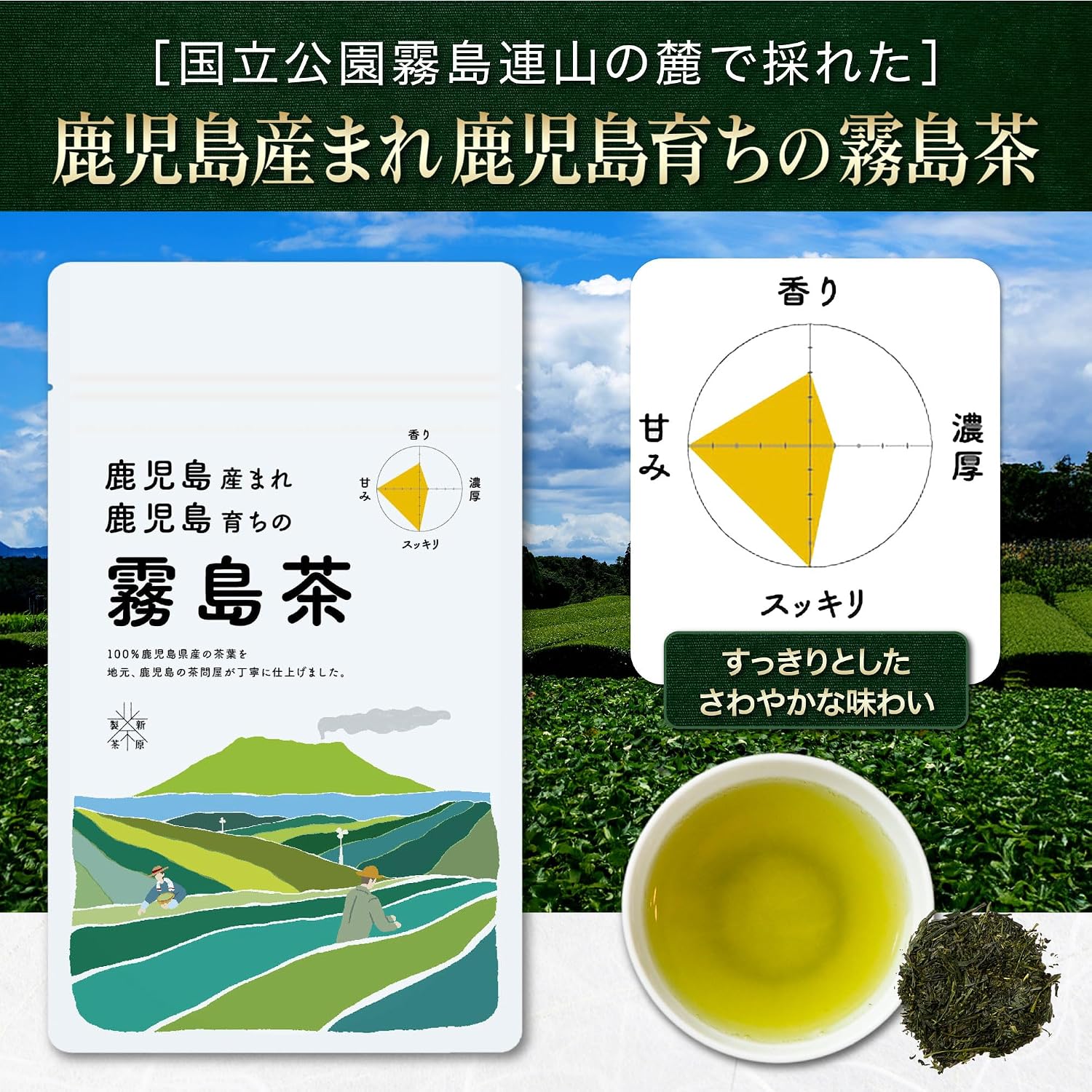 【Tea Merchant with 100 Years of History - Carefully Selected】Sencha Tea Leaves 3 Types Tasting Comparison Set, Tea Leaves Cold Brew Compatible【100% Kagoshima Prefecture Produced with Expert Roasting