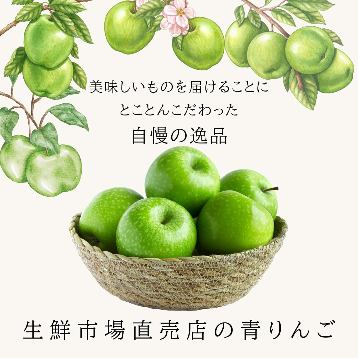 (Sugar content above 54.0°F (14°C)), Olin, 4 pcs, Apple Product, Aomori Prefecture, Light Sensor Selection, Lingo, Apple, Sweet, High Sugar, Crispy Texture, Mother's Day, Father's Day Gift, Middle Edition (4 pcs)