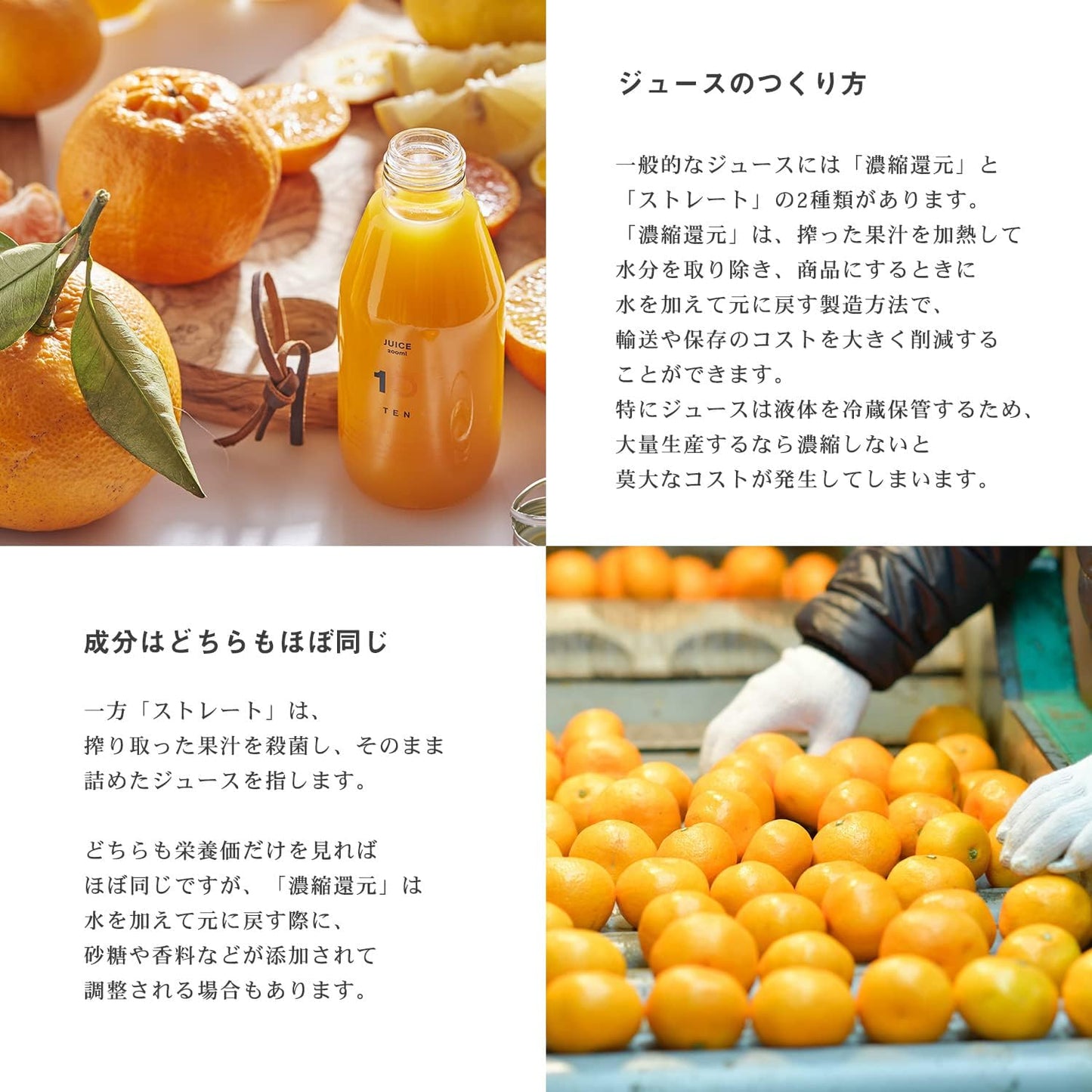 TP561GI 10FACTORY Gift Ehime Mandarin Juice, Ehime Mikan, 100% Juice, 10 Bottles (6.8 fl oz (200 ml), Set of 10 Types, Boxed, Wrapped, Compatible with Iron Paper, Tote Bag Included, High Quality, No Additives, Made in Japan, For Home Celebrations