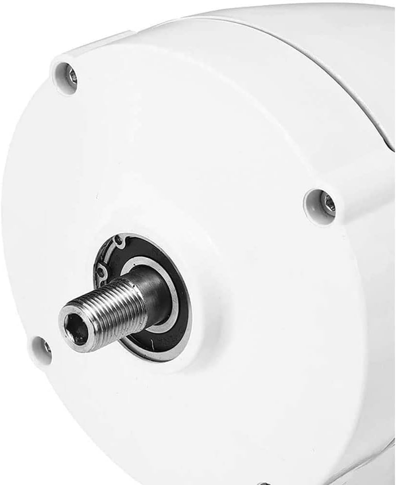 風力タービン、6ブレード+コントローラー風力タービン 水平ホーム風力発電機 パワー風車 エネルギータービン 充電、12V (24V)