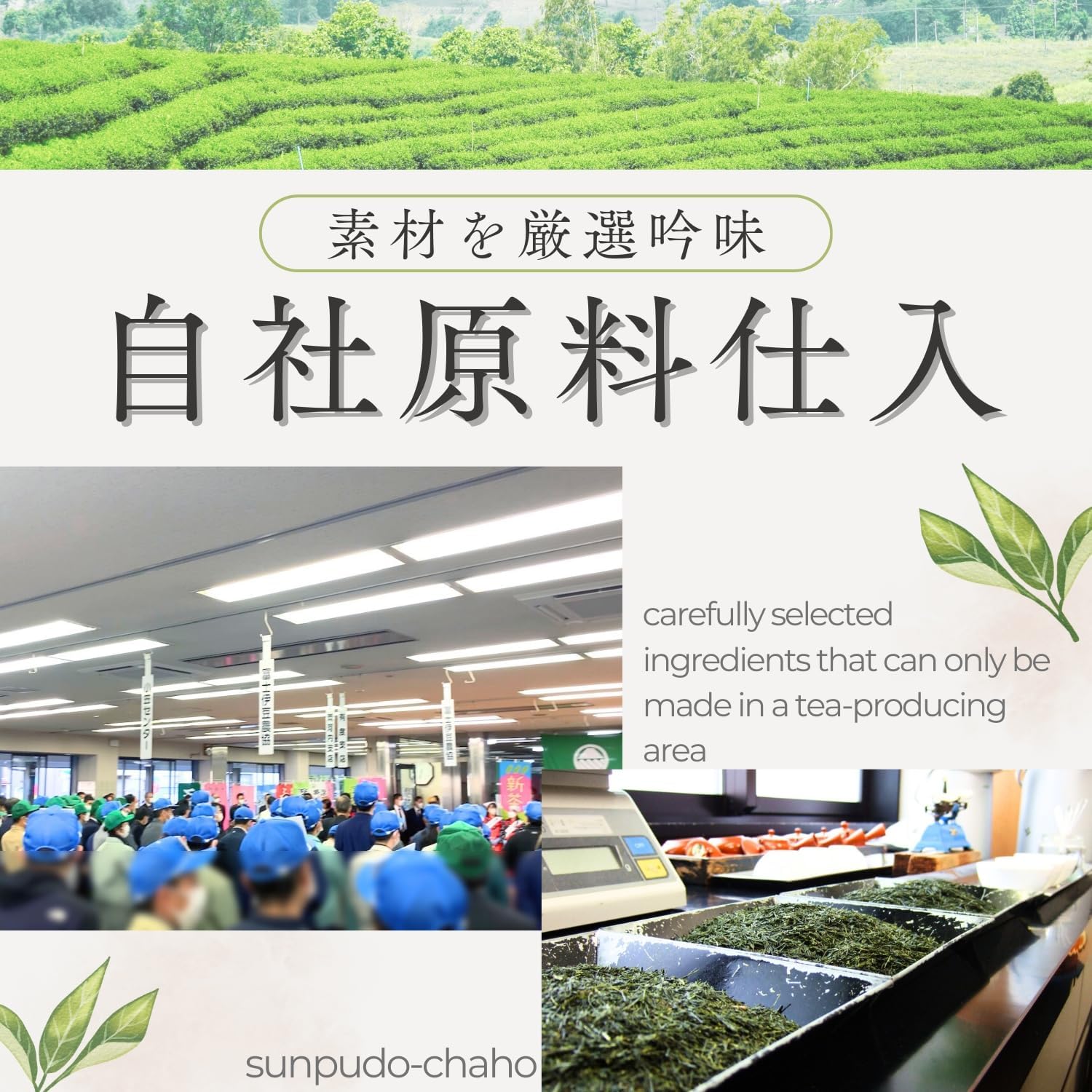 【駿府堂茶舗】Kaga Stick Tea 90g | Ishikawa Kaga Roasted | Carefully Selected Aroma | Comes in a Stand Pack with Zipper