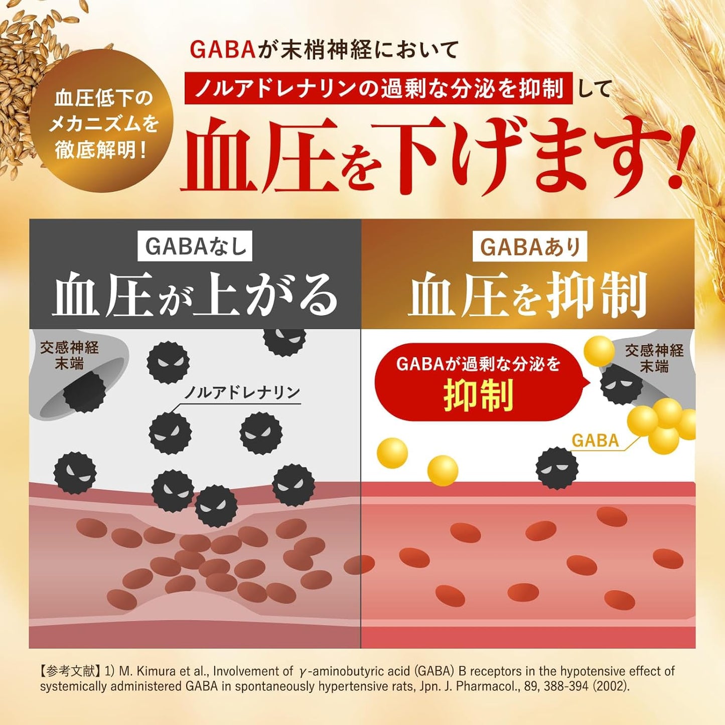 Liver Function, Blood Pressure, Sleep Protection, Lower Blood ALT, Lower Blood Pressure, Improve Sleep Quality, Liver Supplement, Sulforafan, GABA, Inulin, Saracia, Gimnema, Food with Functional