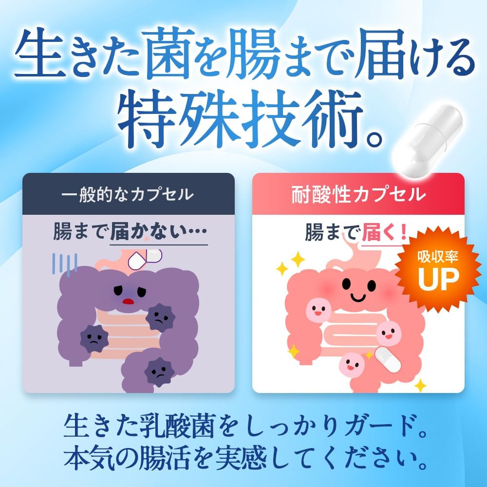 【Live Lactic Acid Bacteria Formula, Pharmacist-Supervised】MyWellsy Lactic Acid Bacteria Bifidobacterium Supplement, 5 Trillion CFU, Probiotics, Domestic GMP Manufacturing, MyWellsy (30-Day Supply)