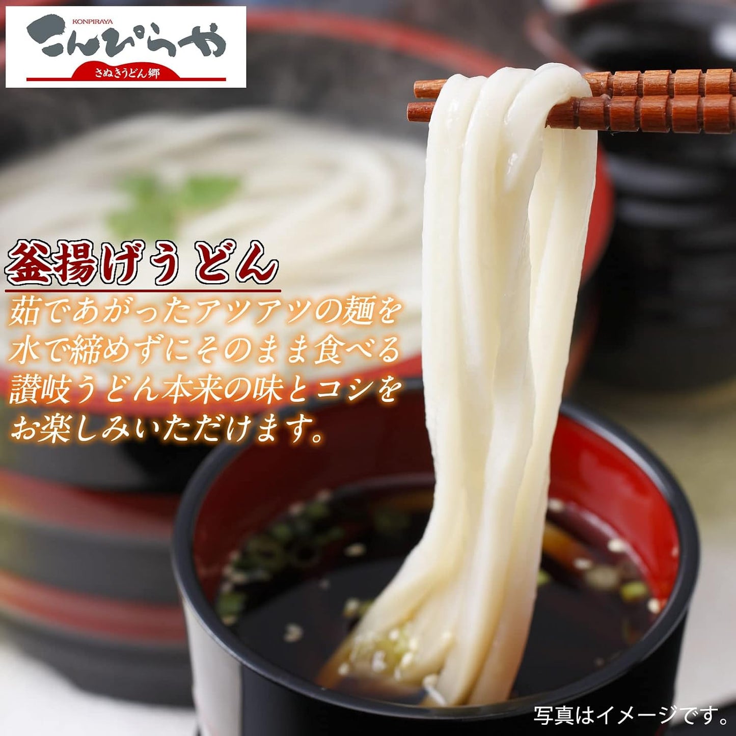 Sanuki Udon Brand Konpiraya - Authentic Sanuki Udon Economy Set - Semi-Fresh Noodles - Medium Noodles - Sanuki Noodle Revolution (240g x 6 bags)