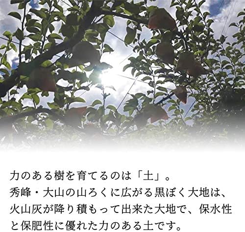 Hirooka Farm Shinkansen (Shinkansen), 11.0 lbs (5 kg) Pack (7 - 16 Balls), Tottori Prefecture Pear None, Shin-Kansen Pear Akahide (For Gift)