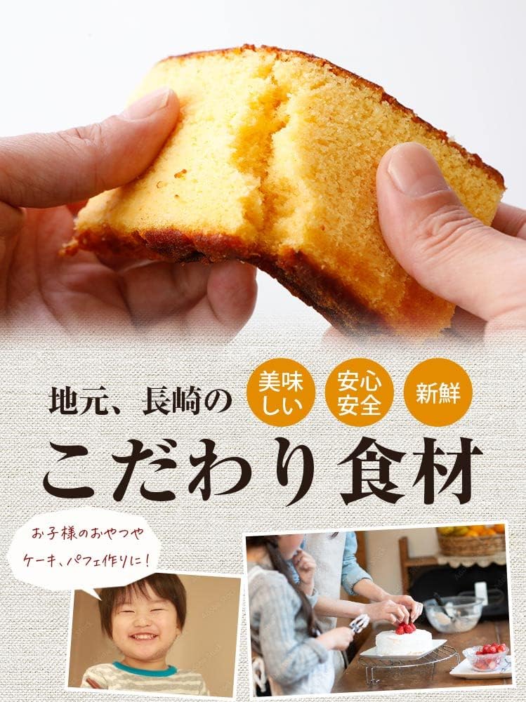 Umami-do Nagasaki Castella Cut-offs Selectable 3 Pack As-is 690g Chocolate Plain Mikado Honpo Unzen Mikado Hotel (Plain) [Home Delivery]