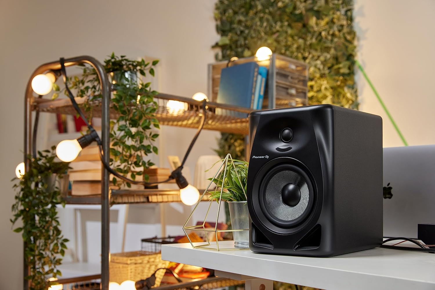 Pioneer DJ 5" 2-Way Active Monitor Speaker DM-50D (Black)
