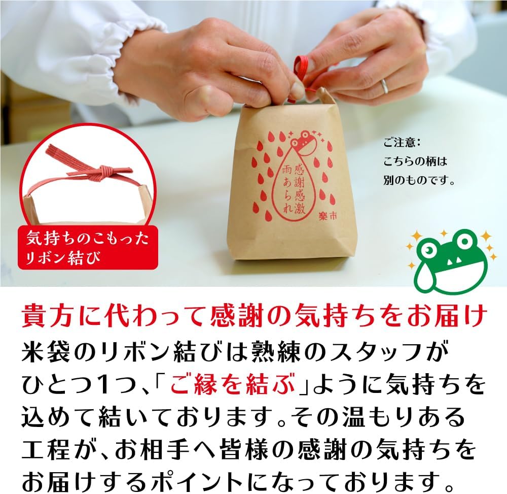 Okashi Rakuichi Kansha Kangeki Amearare Arigatou Arare Combination Set Rice Bags 10-Pack (Dashi Soy Sauce 10-Pack) Okak Individually Wrapped Hail Message Summer Gift Retirement Job Change Snacks Petit