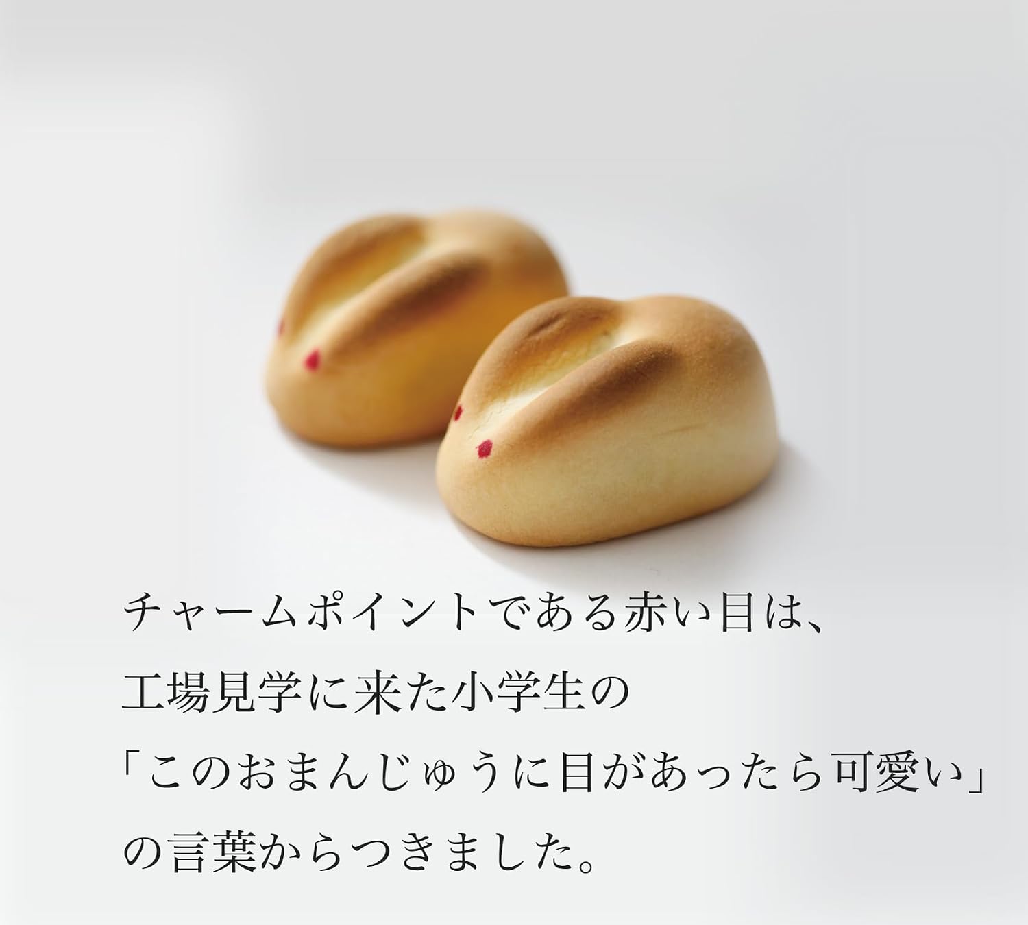 Gift Kotobuki Confectionery White Rabbit of Inaba (20 pieces) Tottori Souvenir Manju Japanese Sweets Retirement Farewell Sweets Welcome/Farewell