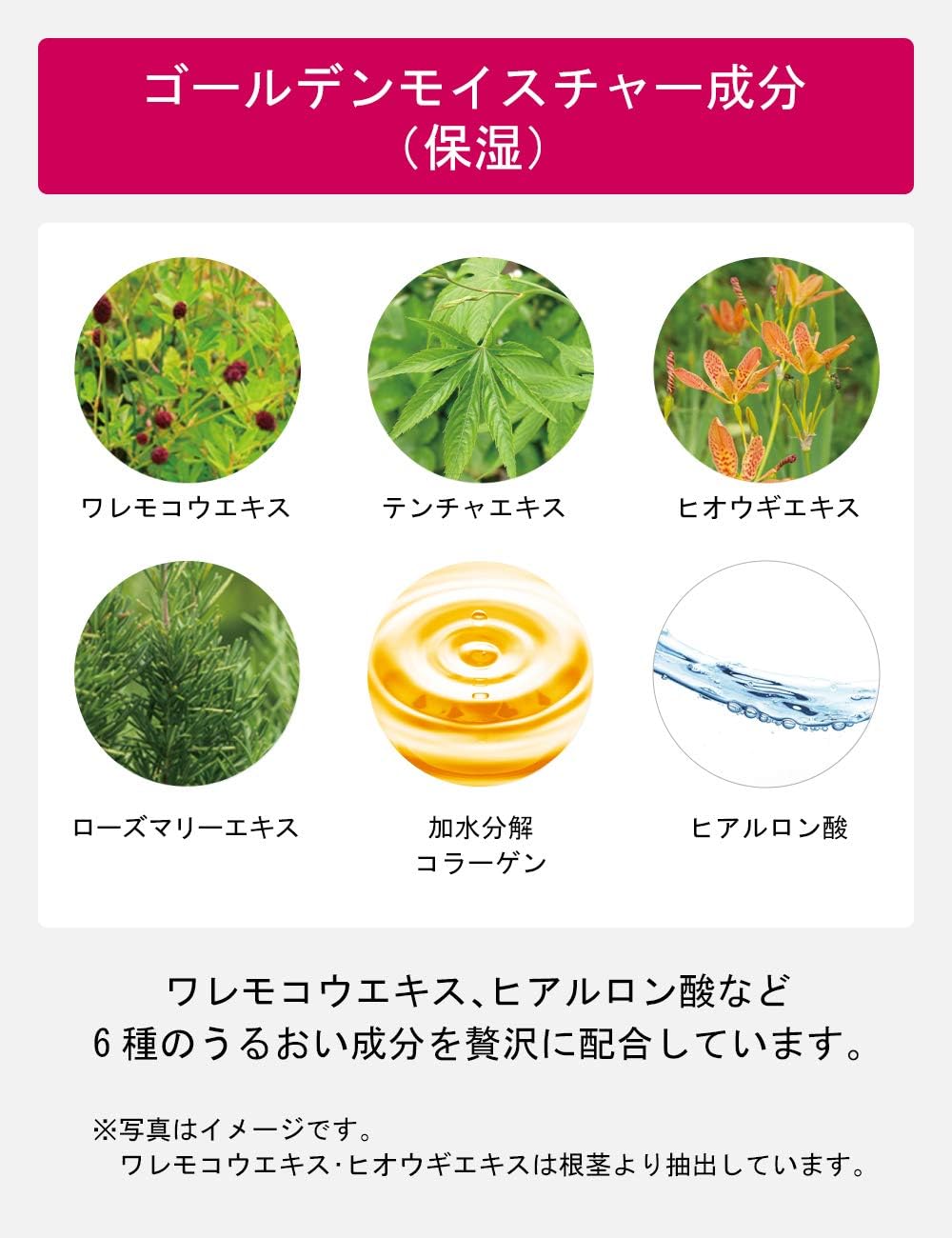 Prior (Official) Shiseido Priol Moisturizing Beauty Lift Gel, Refill, 3.1 fl oz (105 ml) All-in-One Aging Care