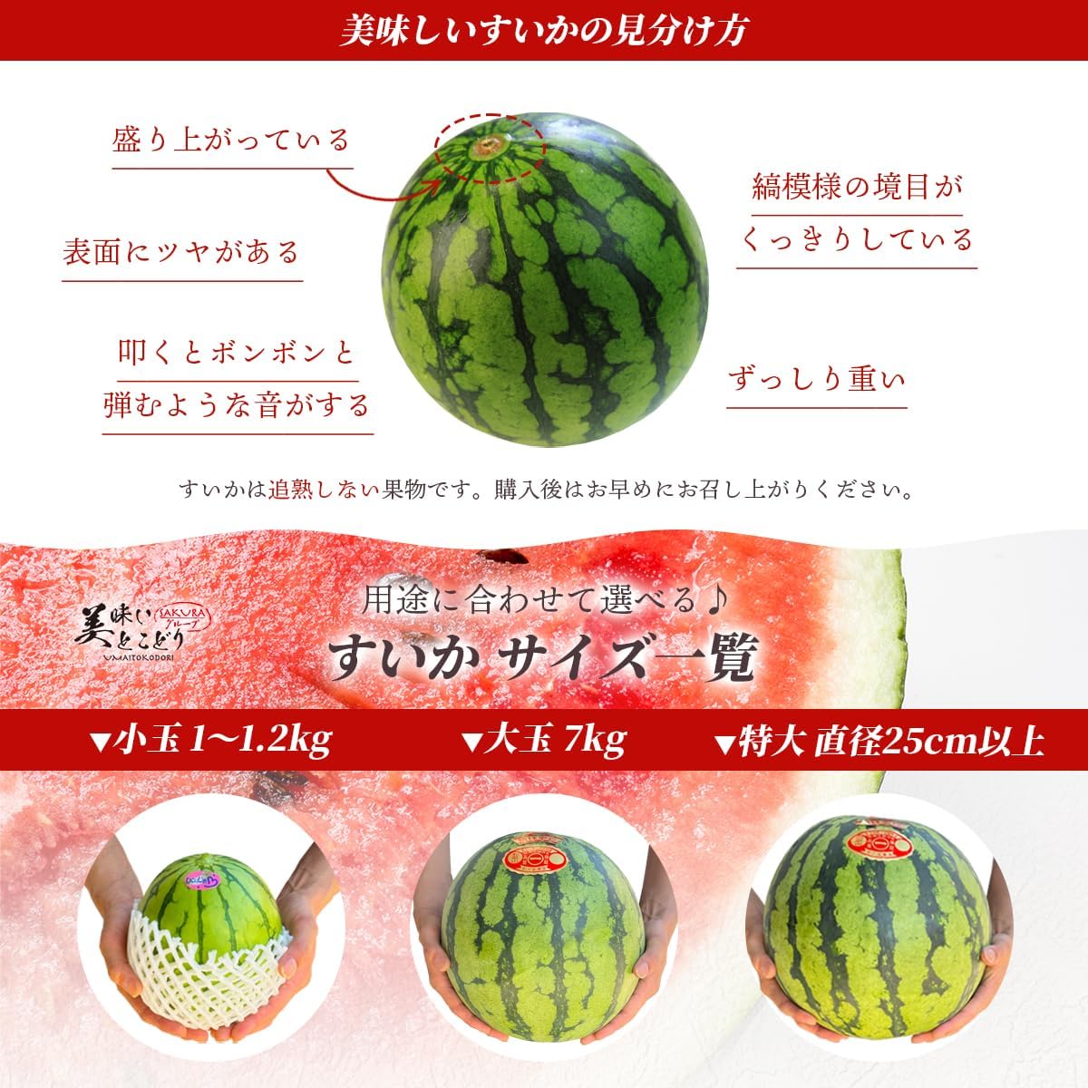 Kodama Watermelon, Fully Rawn, Luxury Akashiu S Rank 1 Piece, Approx. 2.6 - 4.0 lbs (1.2 - 1.8 kg), Can be ironed under the supervision of vegetable sommelier, select regions according to the season