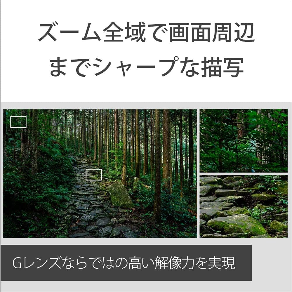 SONY(ソニー) 標準ズームレンズ フルサイズ FE 24-105mm F4 G OSS Gレンズ デジタル一眼カメラα[Eマウント]用 純正レンズ SEL24105G