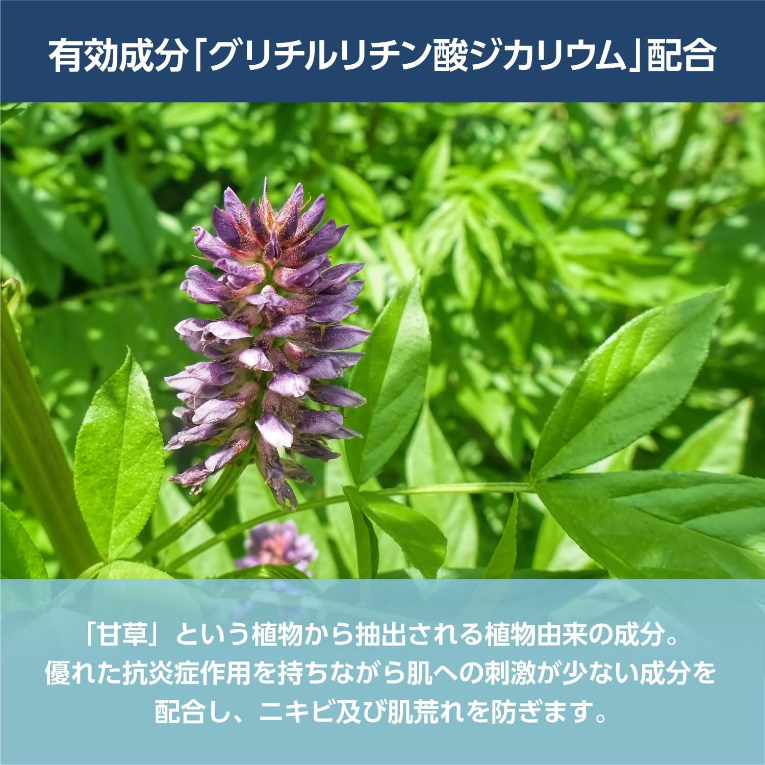 by Medicinal Additive-Free Foaming Soap Cleansing Foam, 16.9 fl oz (480 ml), Large Capacity, Unscented Refill