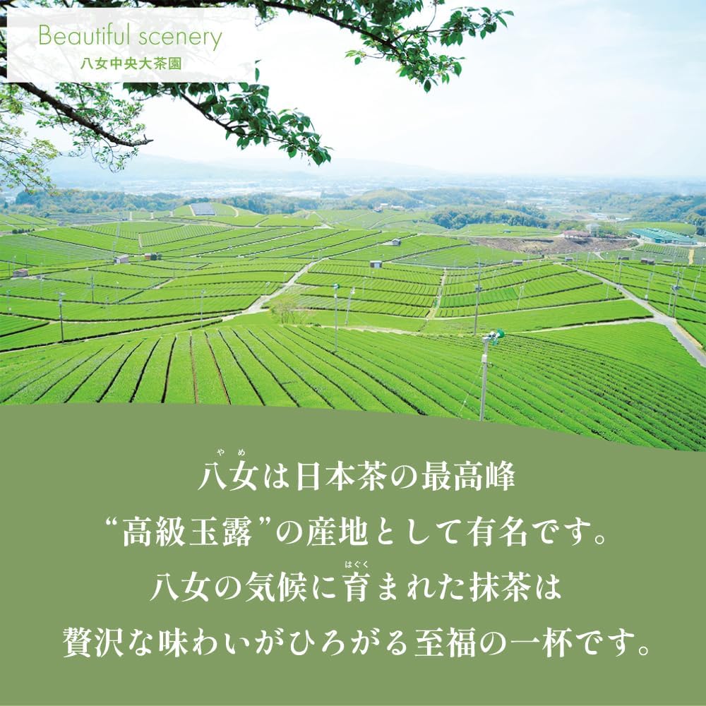 Ochamura Yame Matcha 4.7 oz (111 g) x 2 Bag Set, Large Capacity, 7.8 oz (222 g), Matcha Powder, Made in Fukuoka Prefecture, 100% Additive-Free, Matcha Latte, Sweets