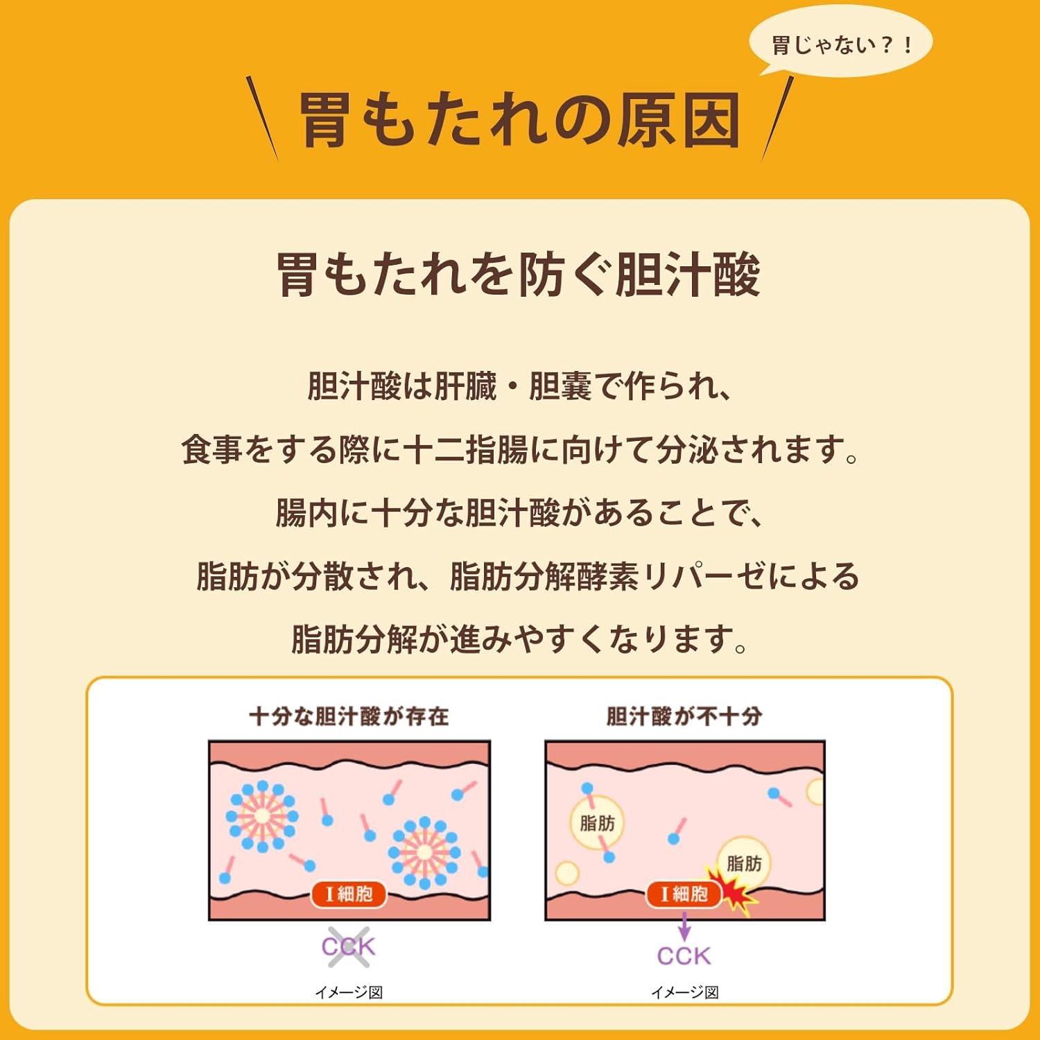 【第3類医薬品】タナベ胃腸薬ウルソ 60錠