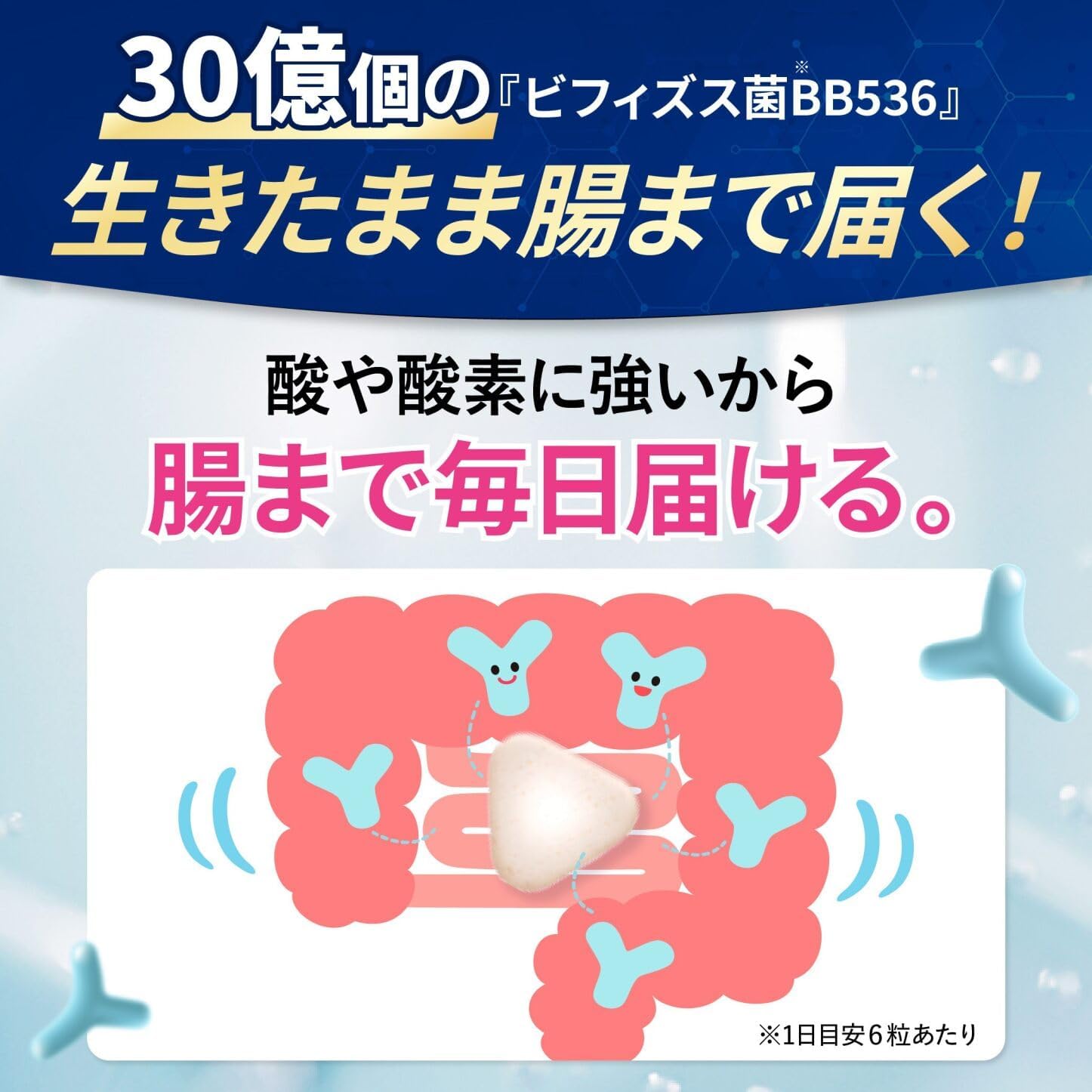 【Morinaga Dairy】Lactoferrin Supplier Share No. 1 Supplement Morinaga Lactoferrin Plus 1 bottle (approx. 30-day supply) Lactoferrin Bifidobacterium Milk Oligosaccharides Supplement
