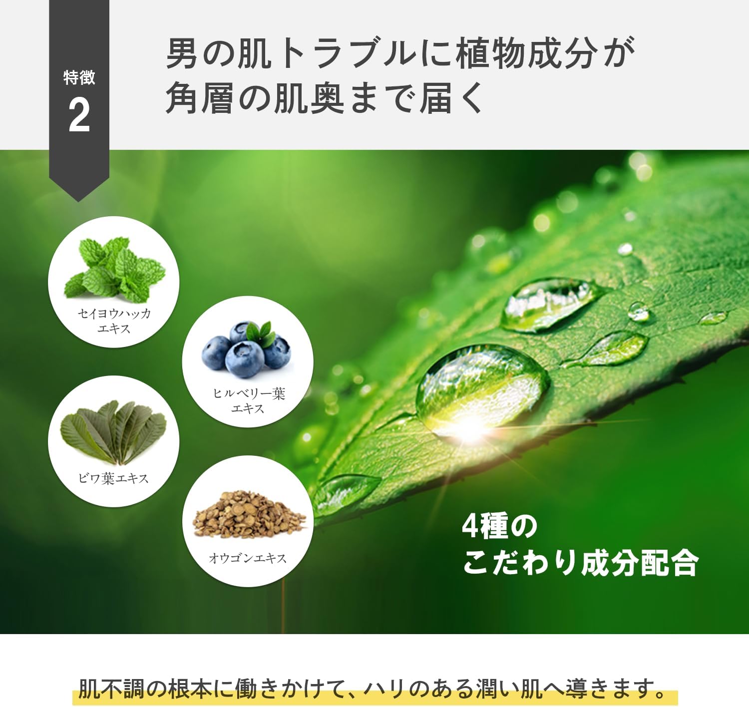 Men's All-in-One Gel 7.1 oz (200 g) (Tube) (Can be Used for Whole Body Lotion, Milky Lotion, Beauty Essence, Stains Freckles, UV Care)