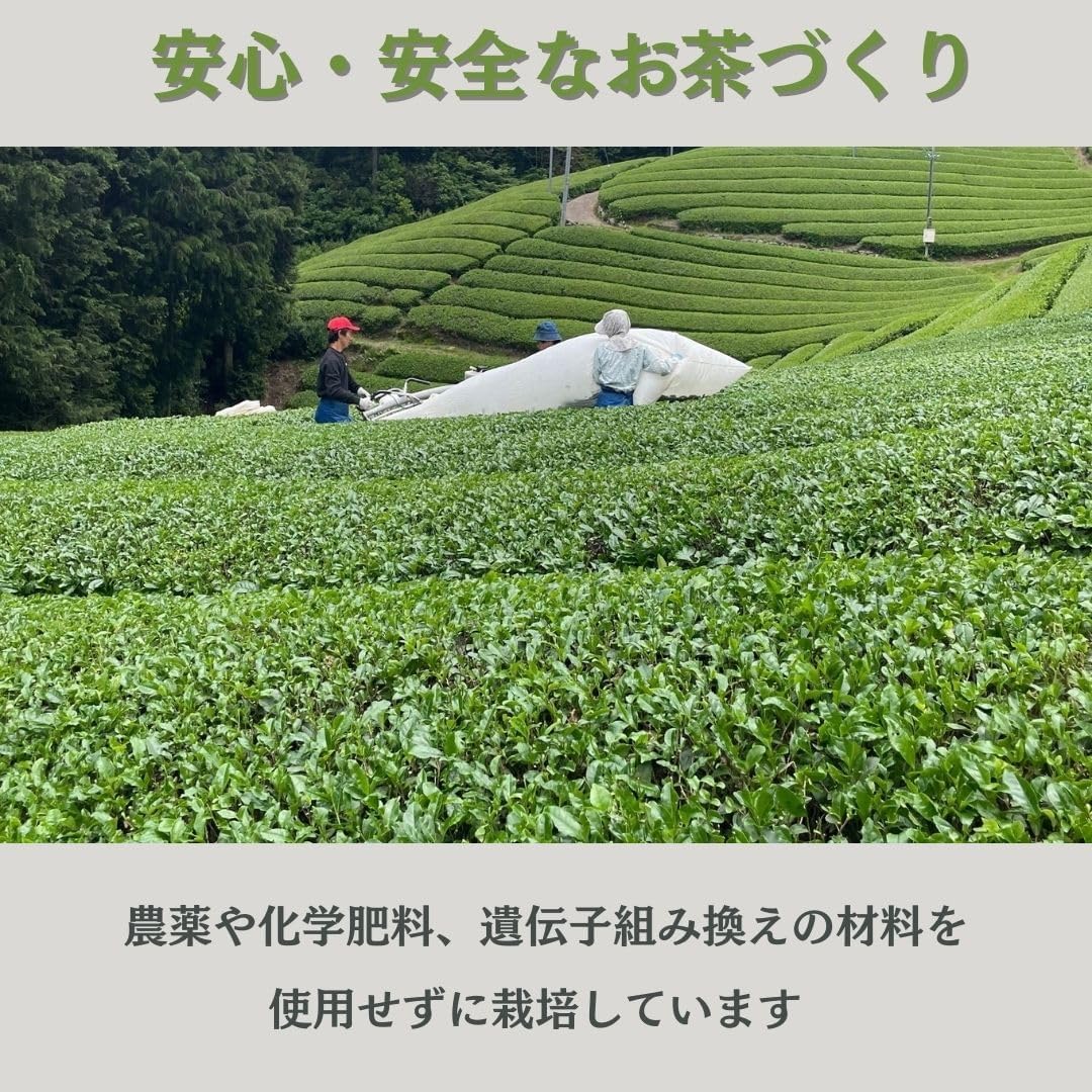Nagata Tea Garden Organic Matcha Brown Rice Tea Bag (0.1 oz (3 g) x 15 P), 100% Organic Tea, Organic Green Tea, Japanese Tea, Tea Pack, Tea Pack (1)