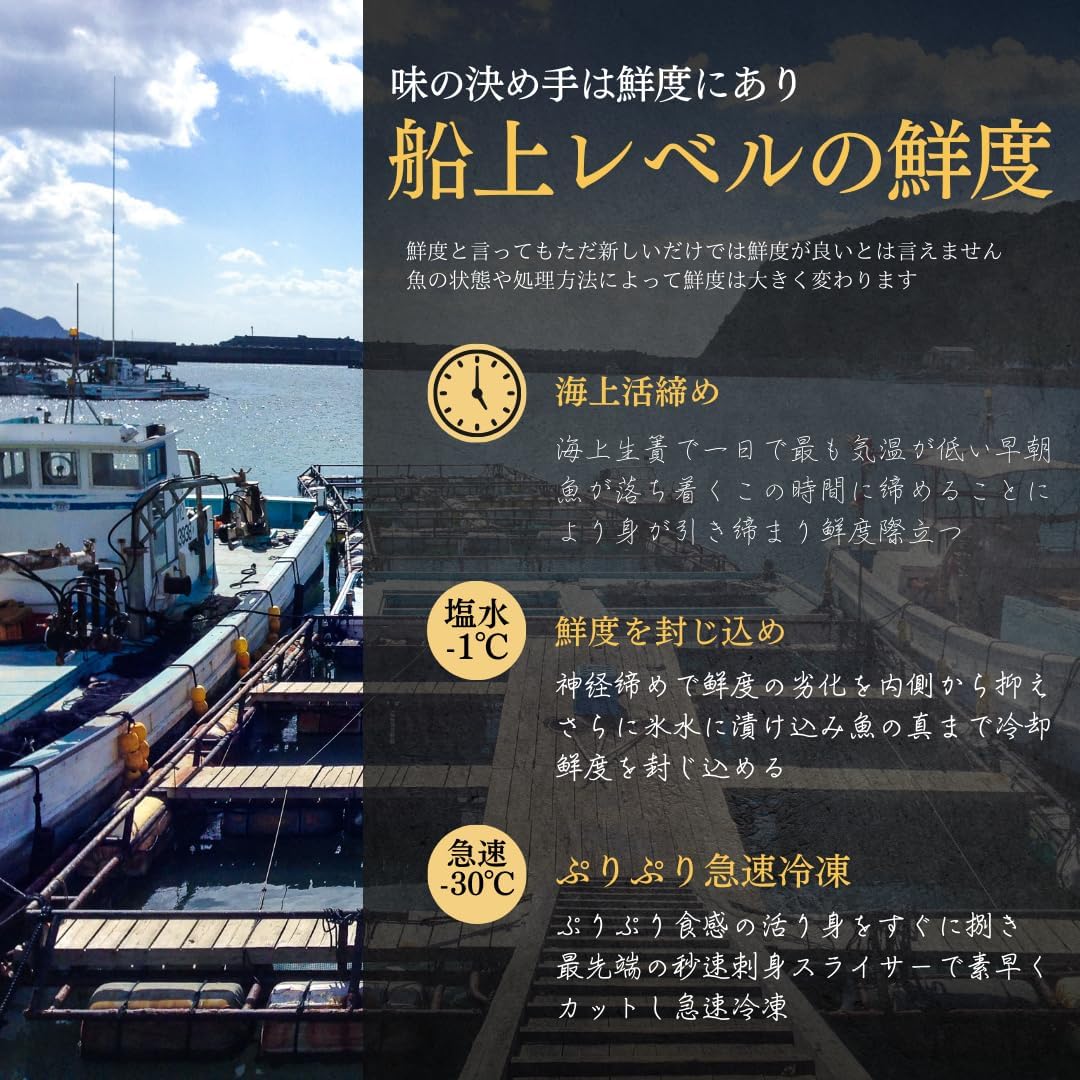 Kumamoto Aromusa, Fisherman's Offshore Red Snamper, Popular Gift, Gourmet with Snamper, Seafood Rice (Set of 5)