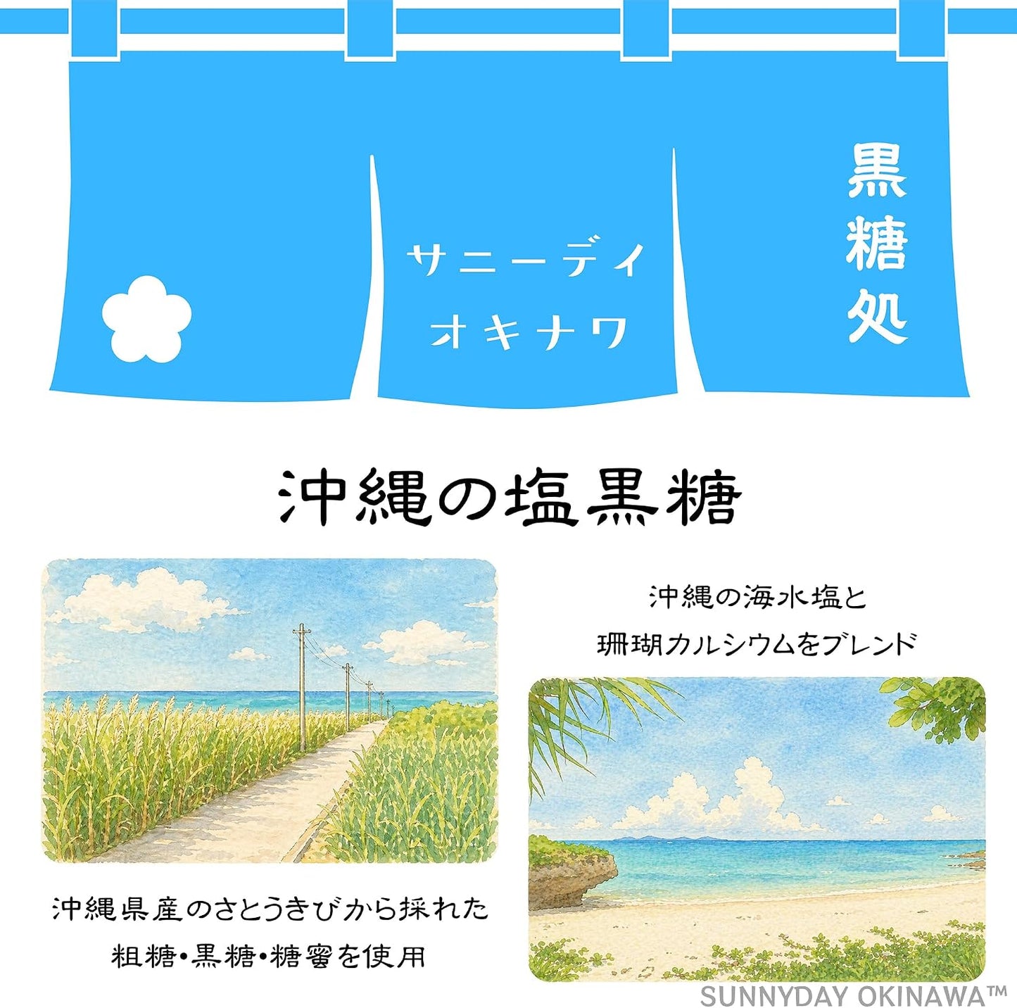 Okinawa Brown Sugar Salt, 2.8 oz (80 g), 10 Bags, Made from 100% Okinawa Prefecture, Individually Wrapped Type, Okinawa Souvenir