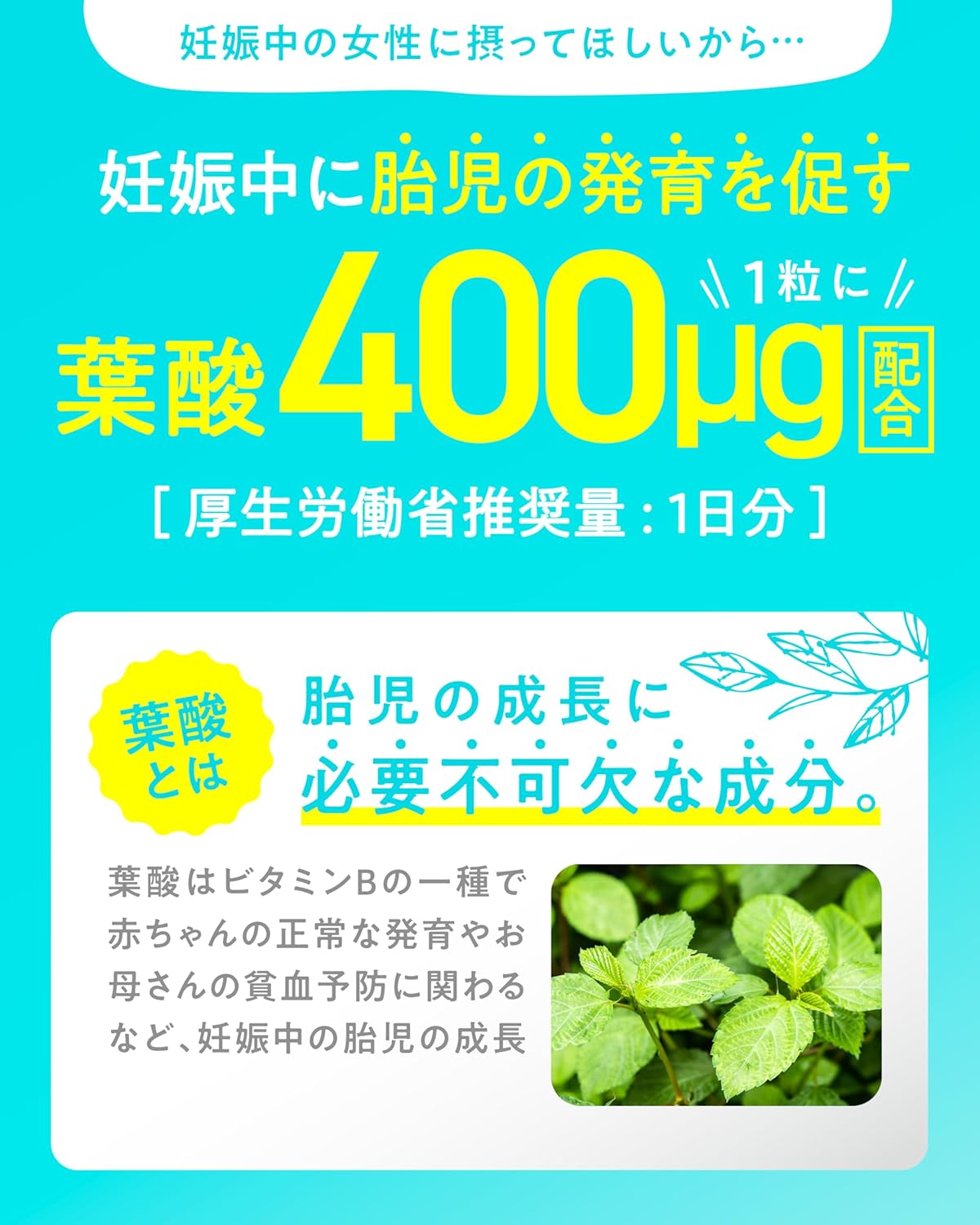 【Recommended by Pharmaceutical Doctors】Oral Health L. reuteri L. reuteri Tablets for Children and Babies, Folic Acid 400μg, No Artificial Sweeteners, Supplement for Bad Breath Care and Etiquette