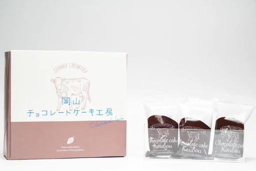 Sunny Road Okayama Chocolate Cake Workshop, Pack of 6