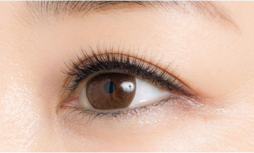 D-UP アイラッシュ ラッシュボーテ 【06 大人ガーリー】 (神崎恵 つけまつげ)