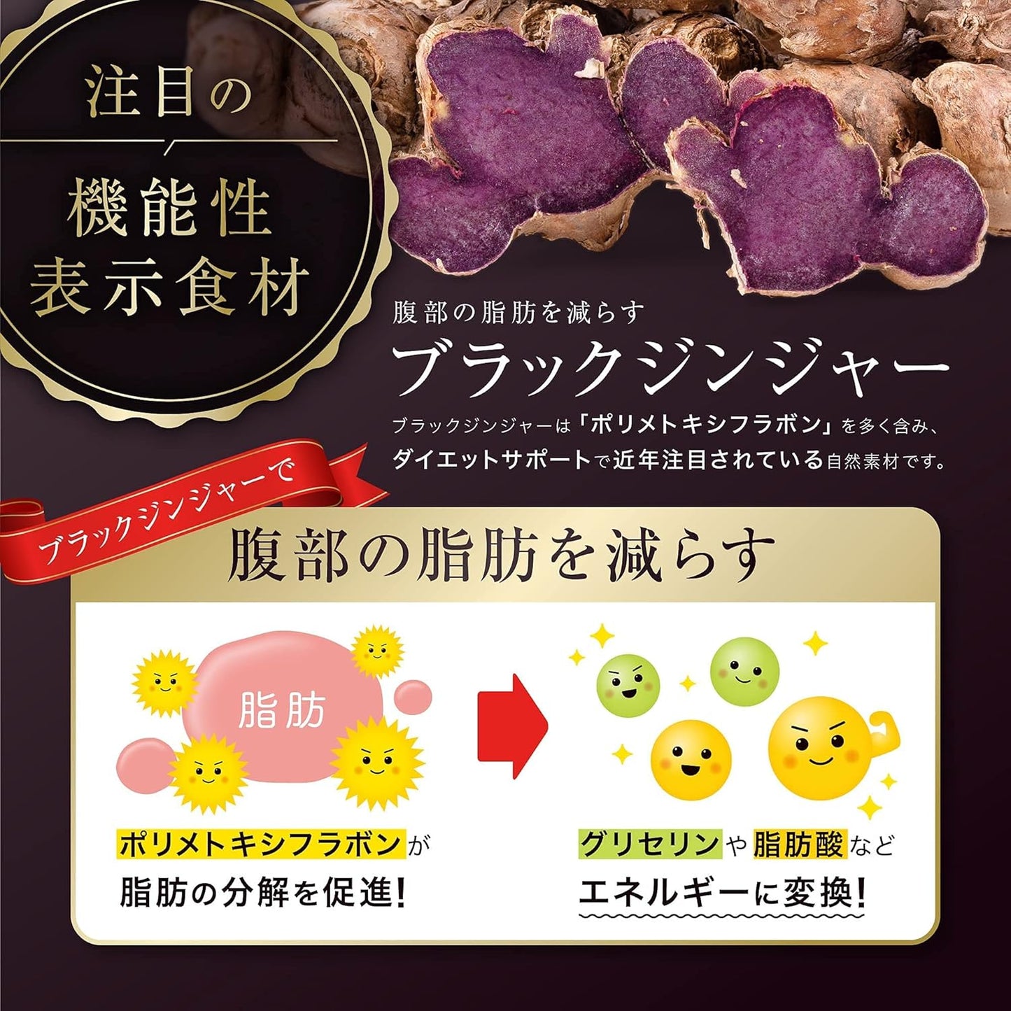 Aokinomori Black Ginger Lactic Acid Bacteria Food with Functional Display K-1 Salacia, Inulin, Kombucha, Enzyme, Black Vinegar, Proanthocyanidin, 90 Tablets, 30 Day Supply