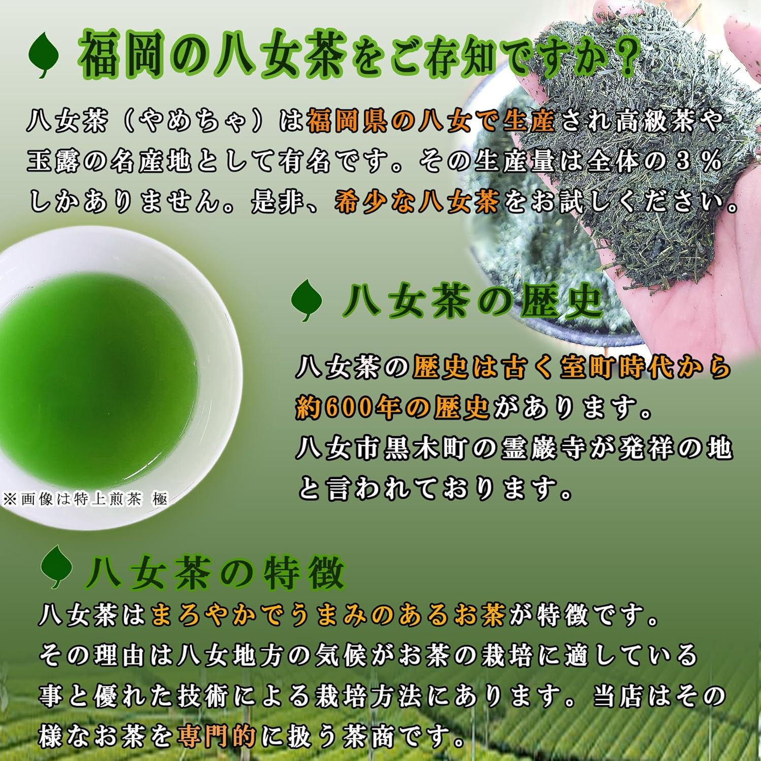 Asanoen Chano-en Choose from YaMETA, Set of 3, Brown Rice Tea with Matcha, Brown Rice Tea with Matcha, Green Tea with Matcha, Green Tea, Deep Steamed Tea, Kukicha, Matcha, Brown Rice Tea, Brown Rice