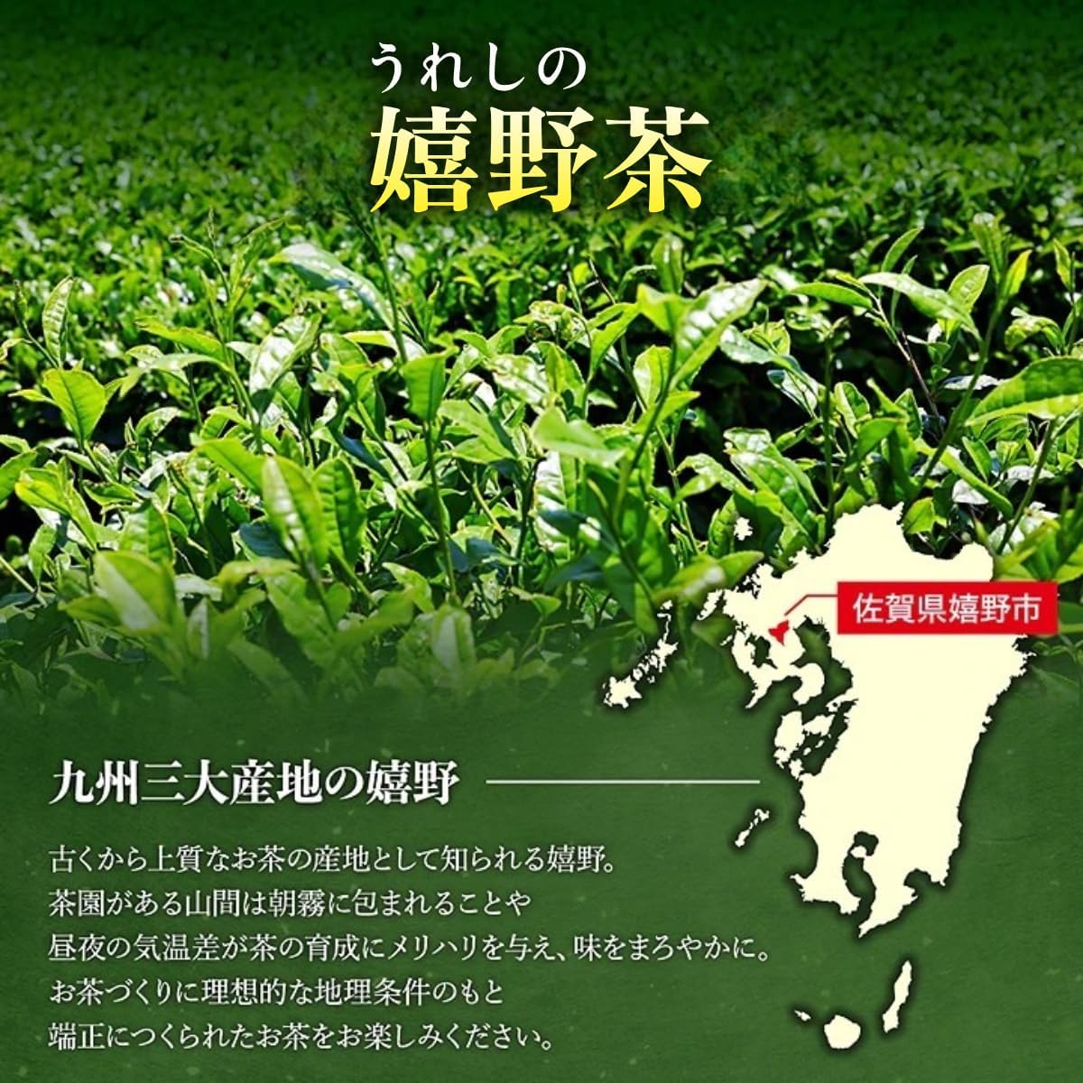 Tea no Ureshinoen Tea & Tea Canister Set, Tea Canister, Tea Canister, Tea Canister, Tea Leaves, Ureshino Tea Can, Made in Japan, Airtight, Stylish, Large, Stainless Steel, Large Capacity, Tea Leaves