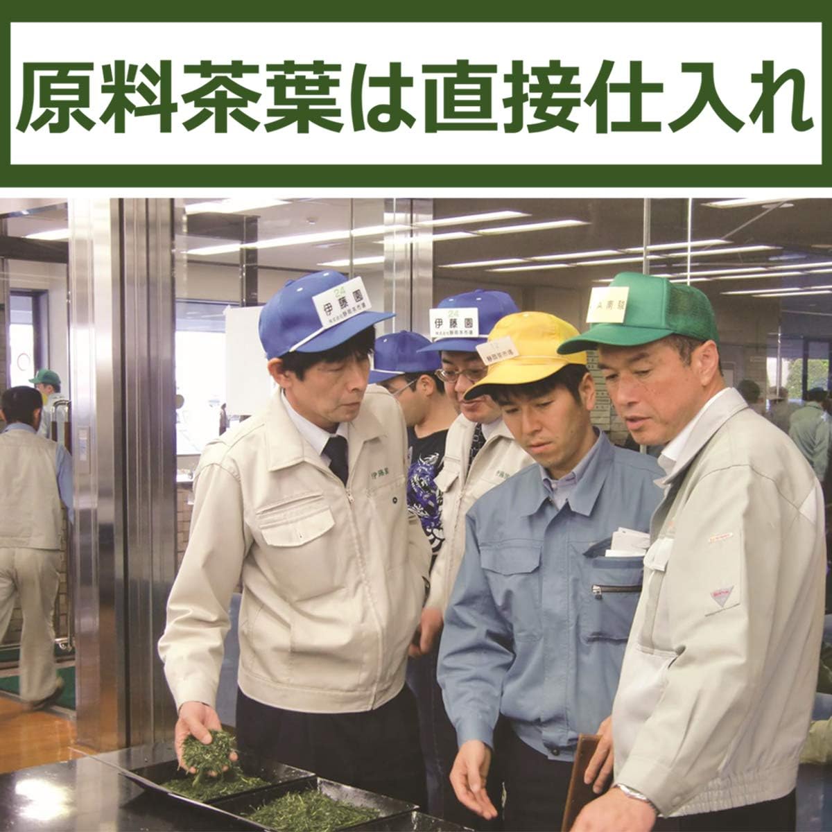 Itoen Oiiocha Tea