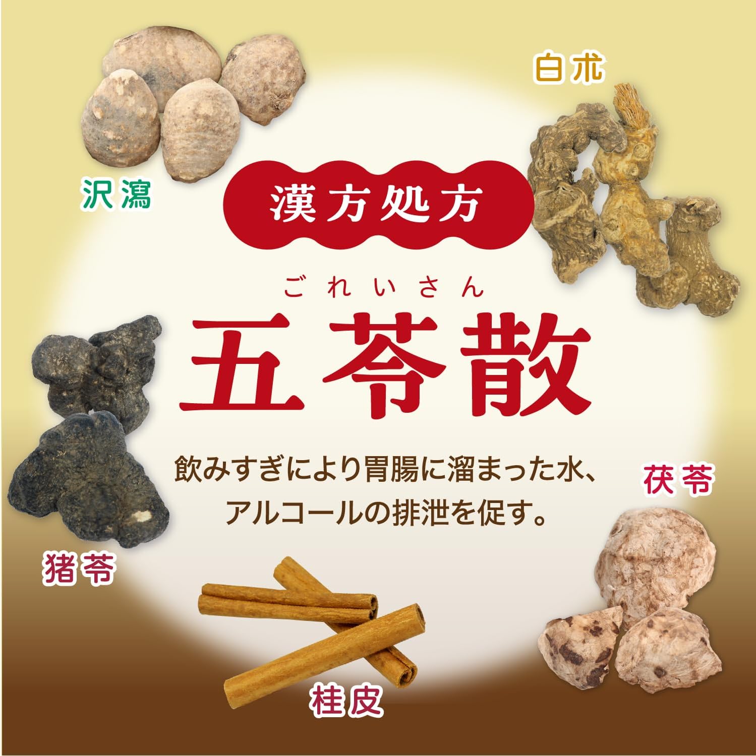 【第2類医薬品】大正漢方胃腸薬〈内服液〉 30mL×10本入