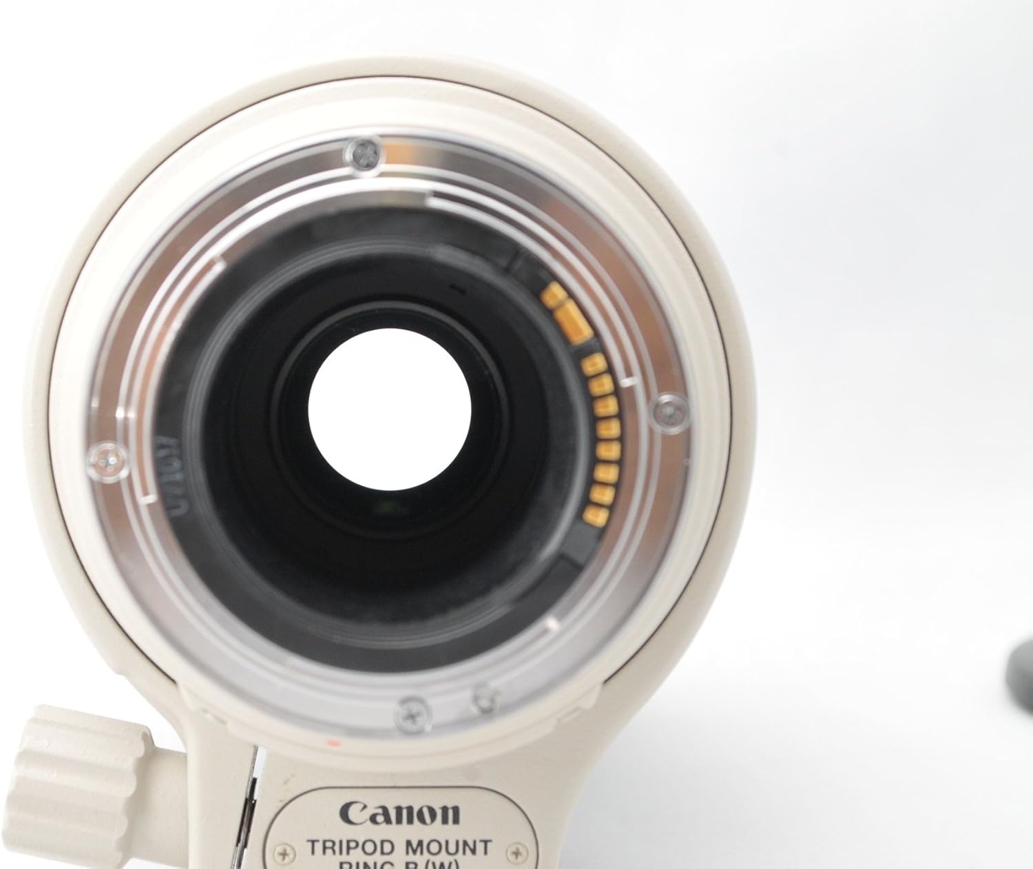 Canon EF 100-400mm f/4.5-5.6L IS USM Telephoto Zoom Lens, Full-frame Compatible