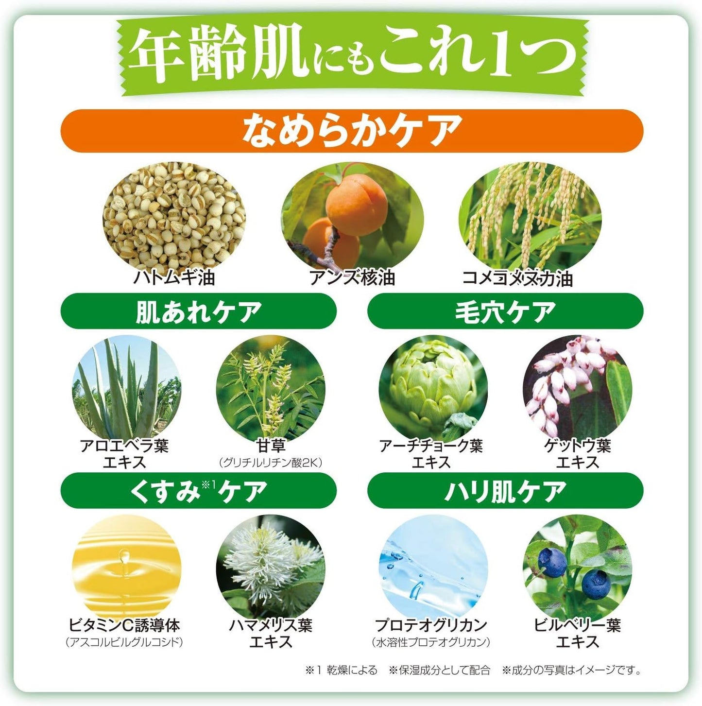 Crude Gringlan Herbal Amino Gel [3.5 oz (100 g) / Approx. 2 Months Supply / High Concentration Oxygen Water Used] All-in-One Gel (Herbal Scent), Adley, Houtdami, Concentrated Gel Cream