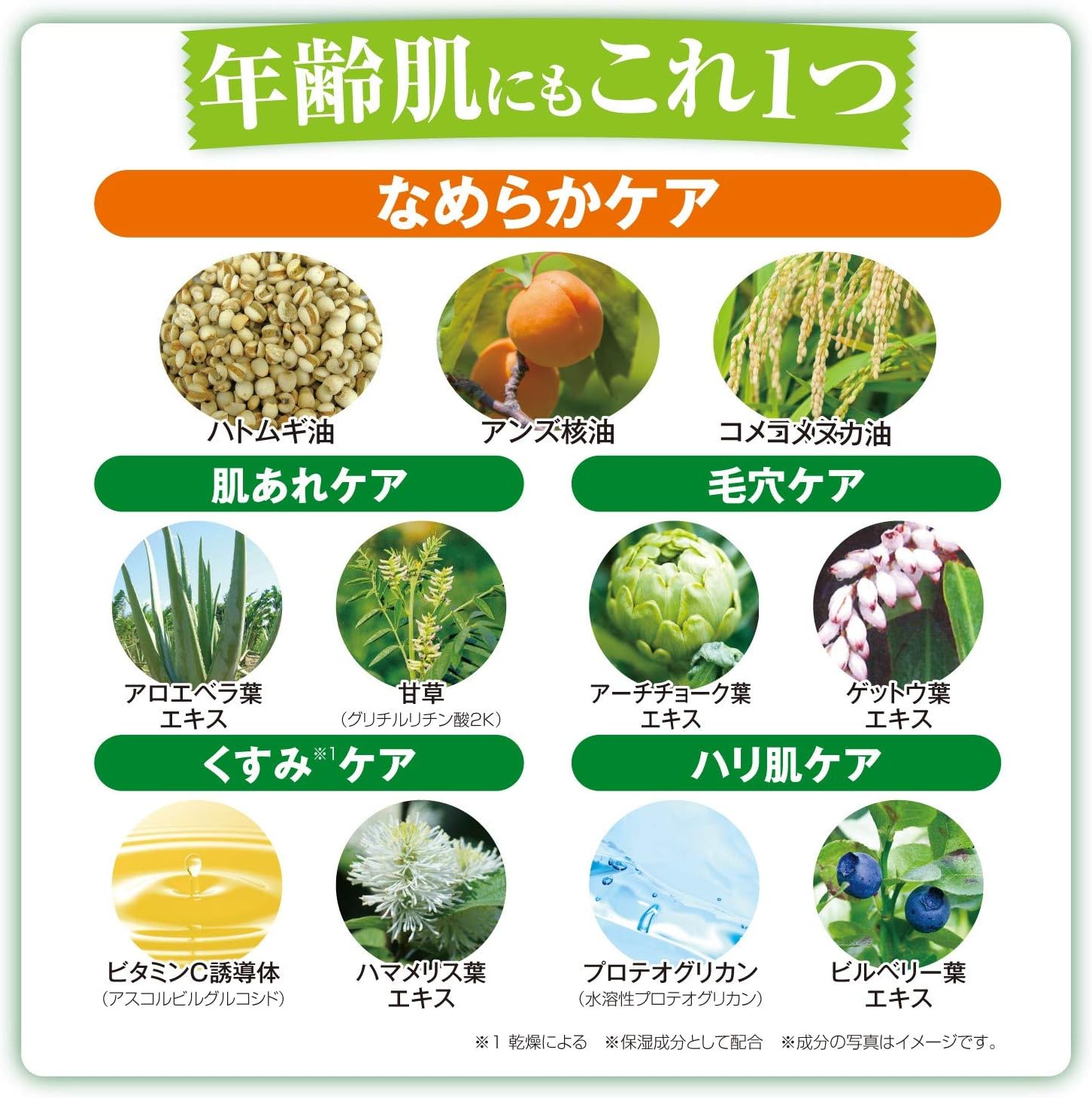 Crude Gringlan Herbal Amino Gel [3.5 oz (100 g) / Approx. 2 Months Supply / High Concentration Oxygen Water Used] All-in-One Gel (Herbal Scent), Adley, Houtdami, Concentrated Gel Cream