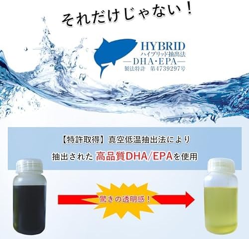 Ribet Corporation Ginkgo Leaf Extract Plus 30 Day Supply DHA EPA Ginkgo Leaf Extract Patent Extraction Method with Pill Case
