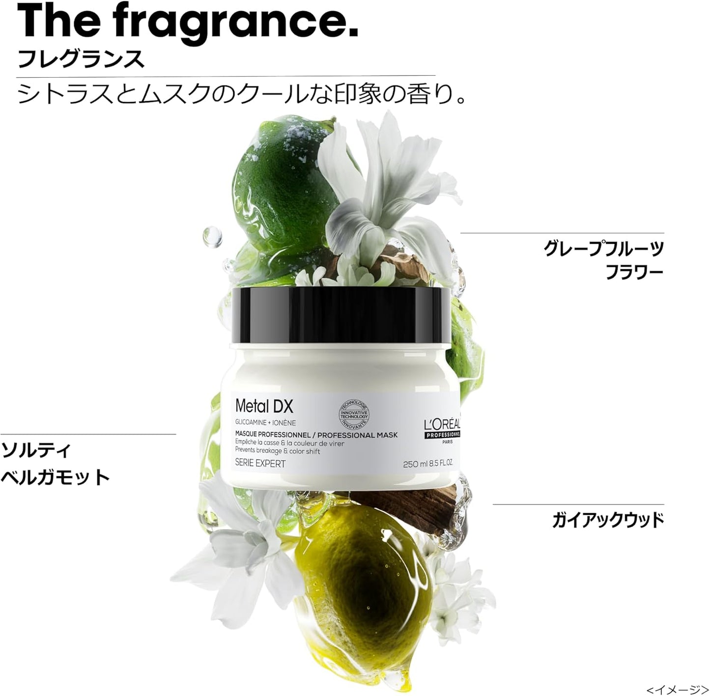 L'Oreal Professional Hair Mask Metal DX 250ml