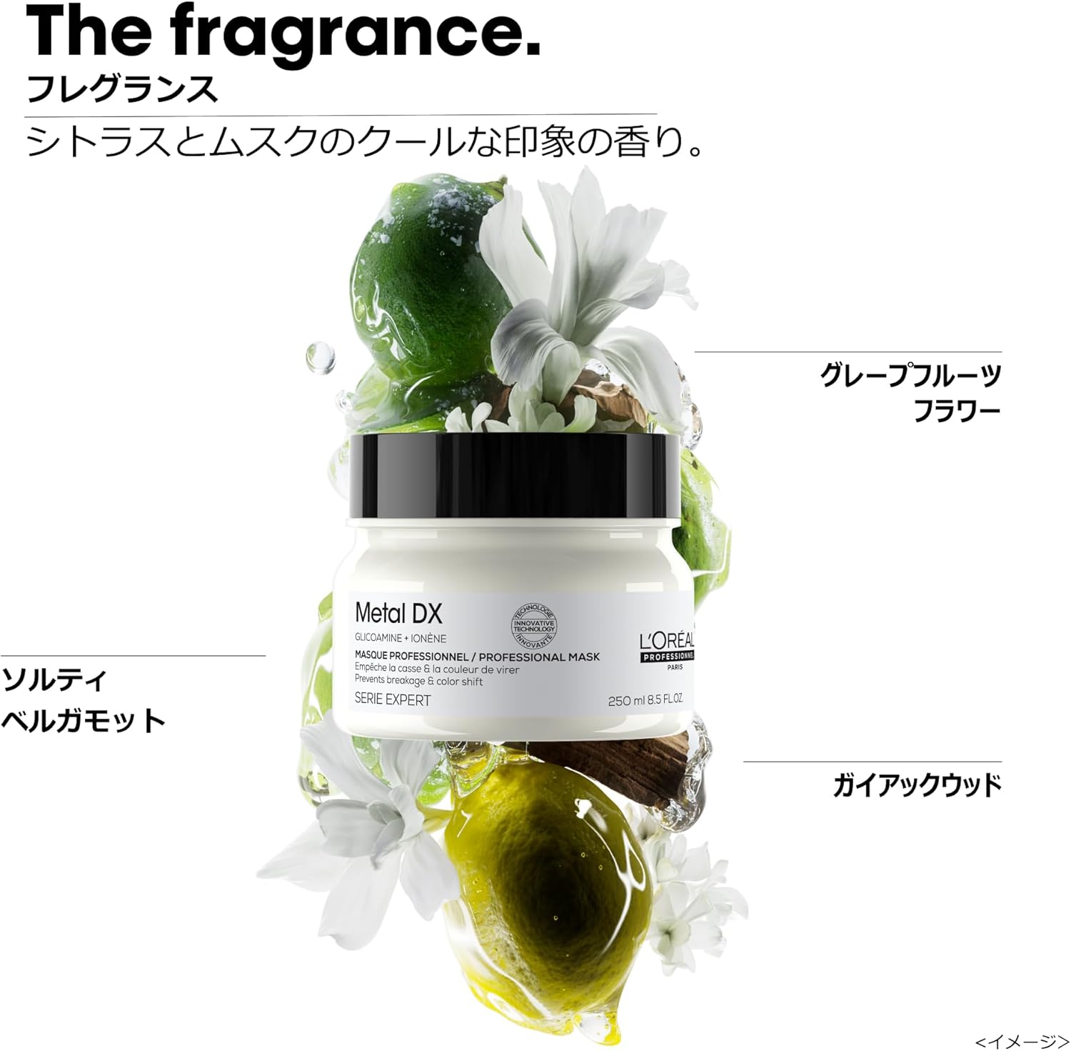 L'Oreal Professional Hair Mask Metal DX 250ml