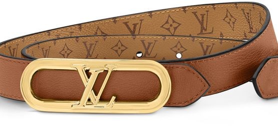 LOUIS VUITTON My LV Chain 25mm Reversible Belt - Image 5