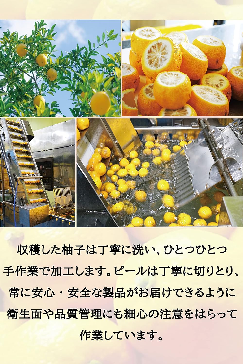 [Official shipping] Yuzu Marmalade (9.2 oz (280 g) Single Item] Yuzuya Honstore [Jam/Mamarade/Compot/Confiture/Yuzu/Yuzu/Peel/Yamaguchi/Gift/Souvenir/]