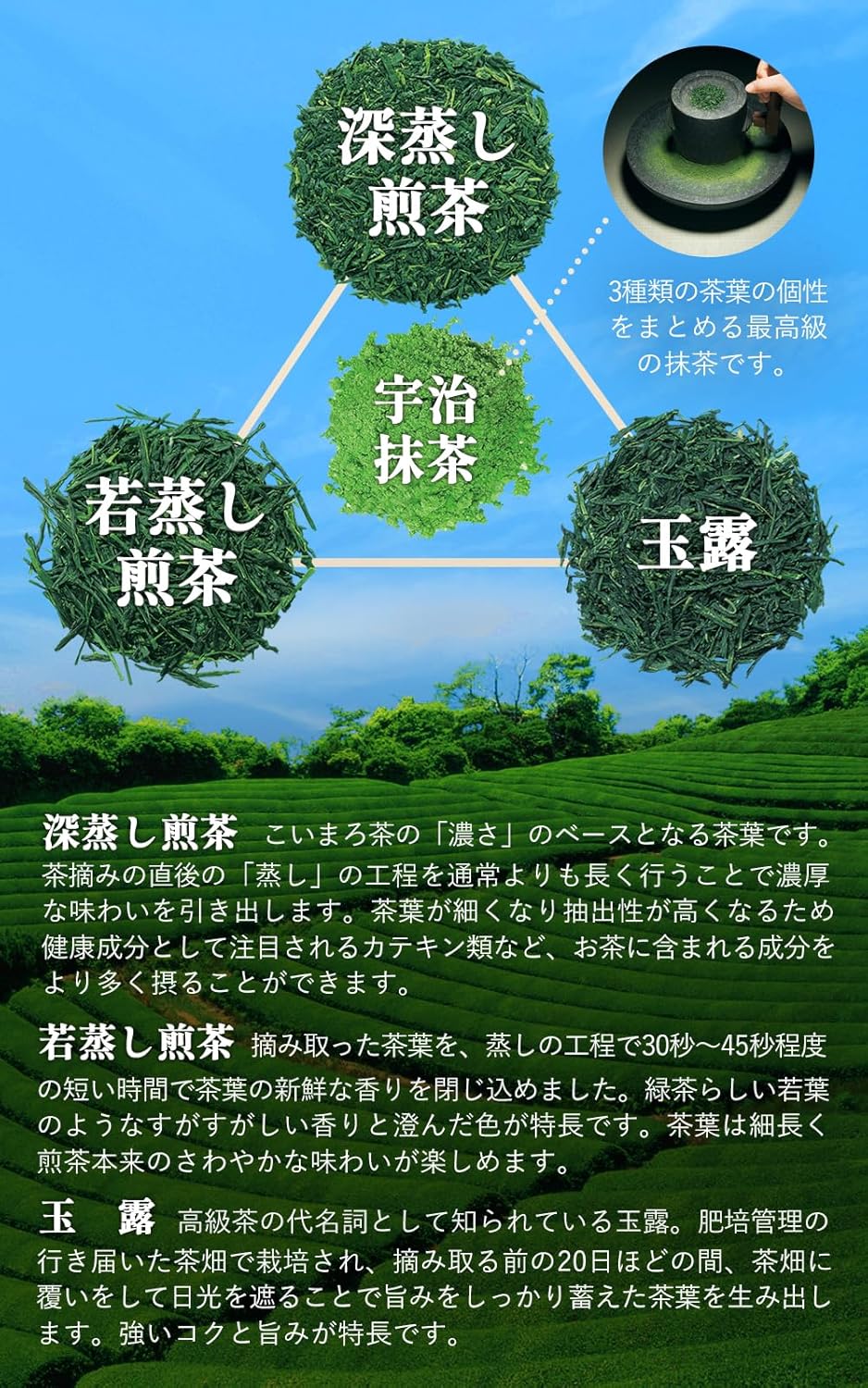 【Mondo Selection Award Winner】Kyoto・Ujitawara Tea Plantation Koimaro Tea 100g Japanese Tea Gyokuro Deep Steamed Sencha Waka Steamed Sencha Blend Tea Leaves Tea Green Tea Japanese Tea Deep Steamed Tea