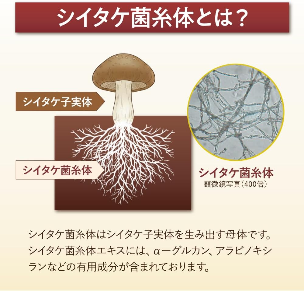 【小林製薬 公式】シイタゲン-a(アルファ) 30日分 （4粒×30袋入り）粒タイプ シイタケ菌糸体エキス ビタミンD グルタミン 配合 小林製薬 あったらいいな通販