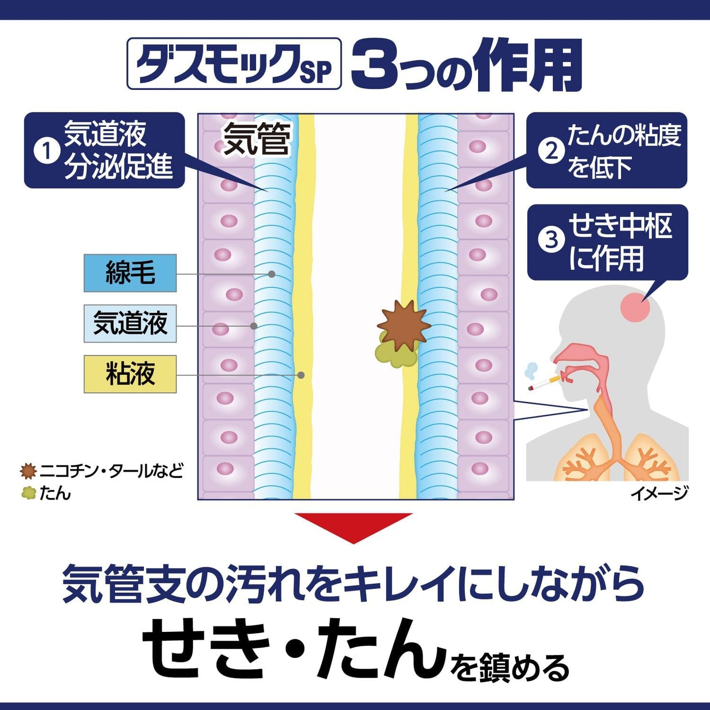 【第2類医薬品】ダスモックSPa 21mL