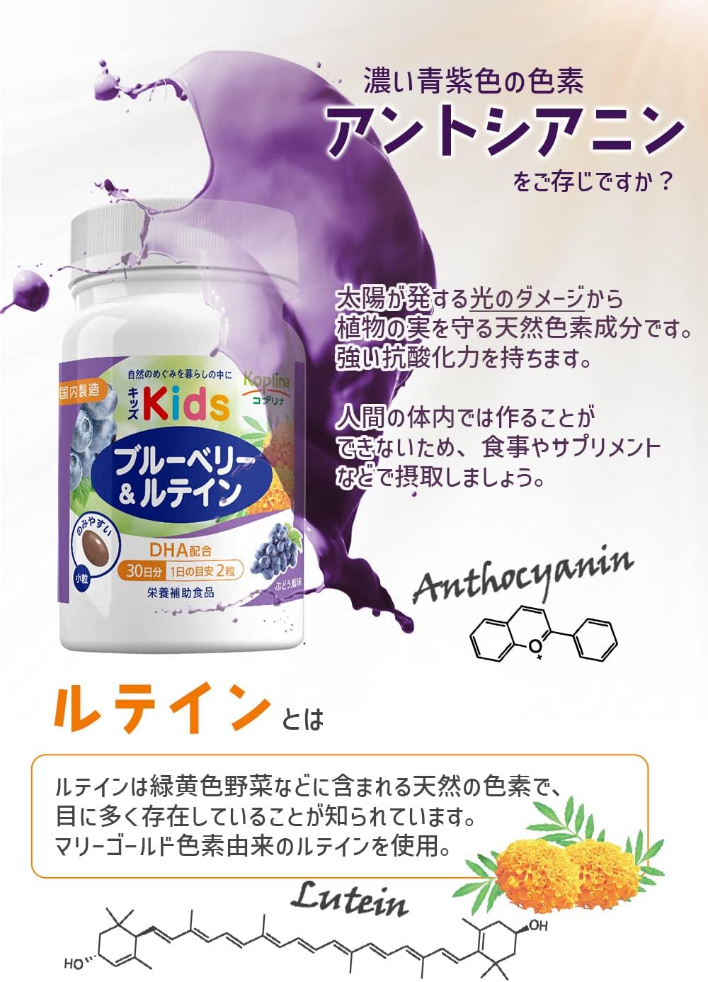 Kids' Blueberry & Lutein 60 Tablets, 30 Day Supply (Small Soft Capsules, Grape Flavor, Parenting Support, DHA Blended, Seeing Power, Children, Health, Supplements, Nutritional Supplement, Safe