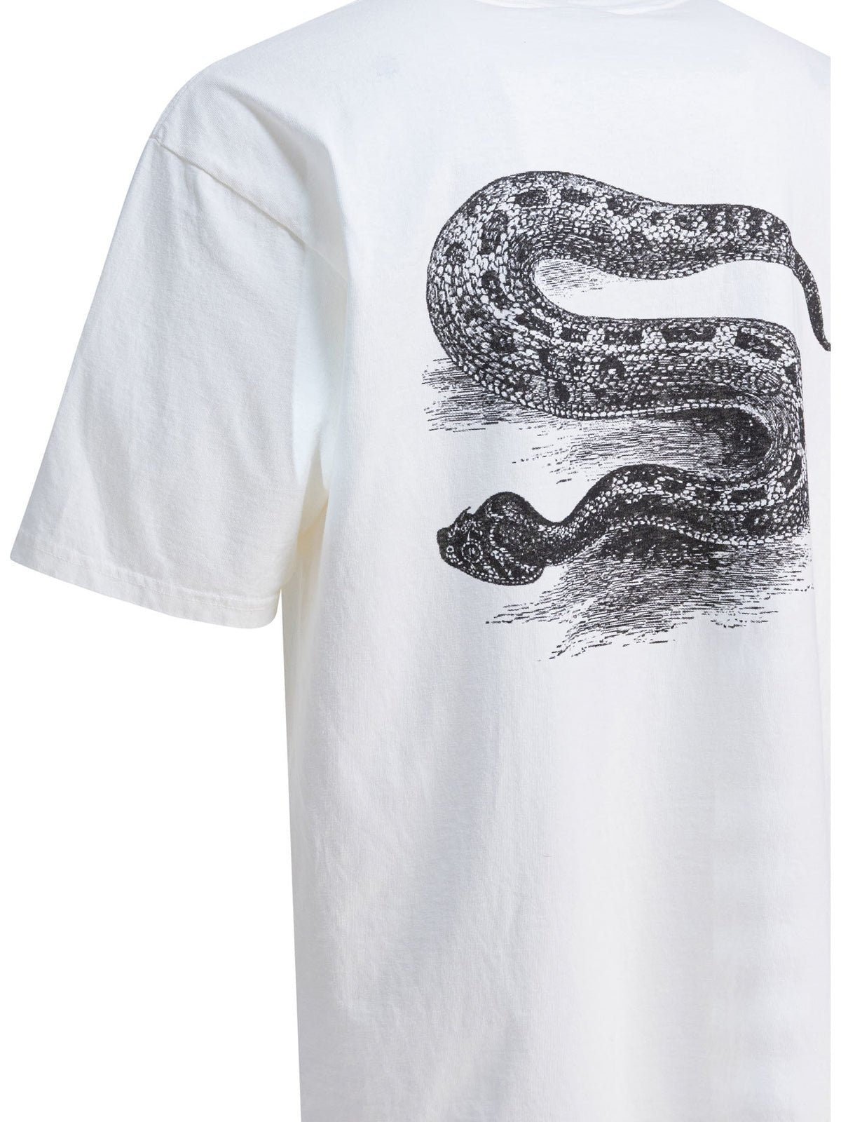 Stussy ステューシー T シャツ - Image 5
