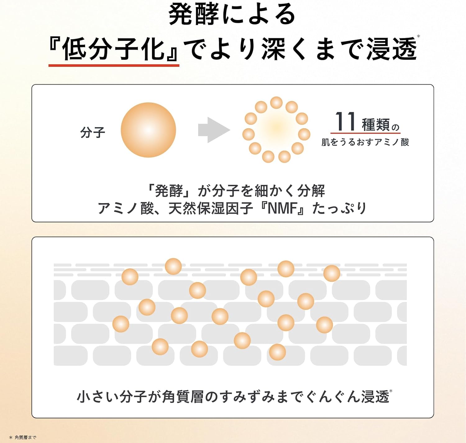 Hakko Panda Fermented Moisturizing Mist Over Makeup