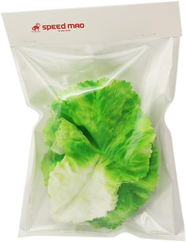 Speed mao Lifelike Sunny Lettuce, Green Vegetables, Food Sample, Model, Set of 5