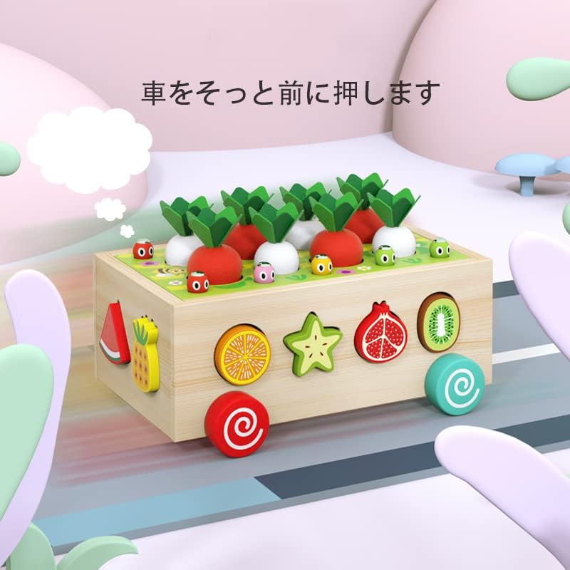 Mokusou-sha Montessori Educational Toy, Shape Matching Wooden Toy, Fruit Recognition, Shape Insertion, Farm Carrot Pulling, Magnetic Bug Catching Game, Early Development, Fingertip Training, Birthday