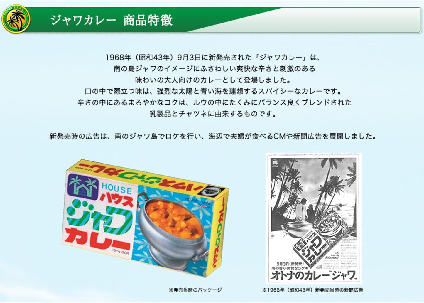 House Java Curry, House Keema Curry, Medium Spicy, 6.1 oz (176 g) x 5 Packs, [Curry Roux] [Spicy]